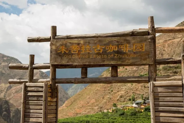 堅定大正人百年傳承信念的朝圣之旅——朱苦拉國際咖啡論壇圓滿落幕！