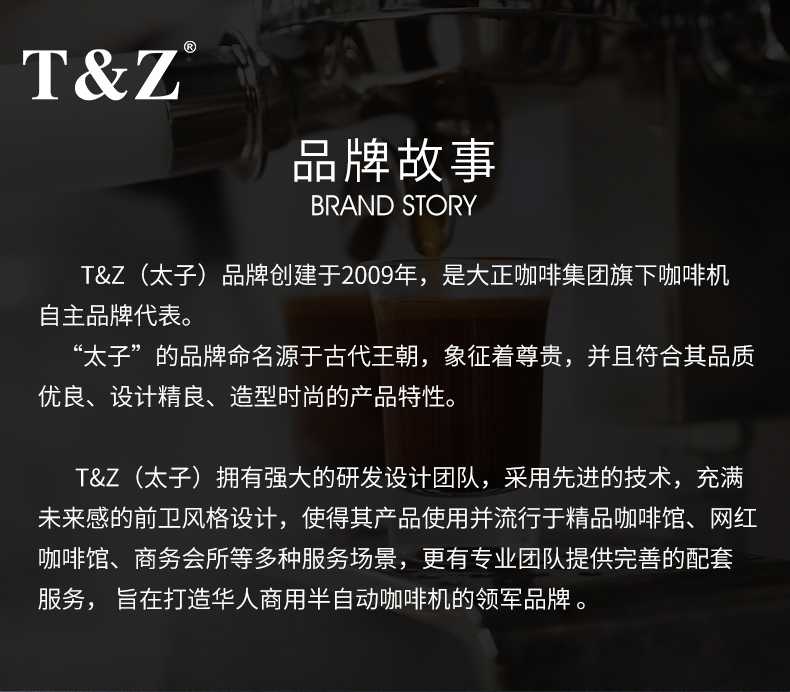 T&Z KT3-2A 太子商用半自動(dòng)咖啡機(jī)